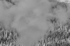 DSC07146_Nik_DxO_1.jpg