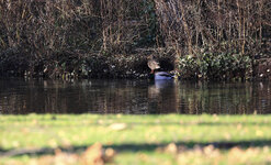 _MG_0410 Kopie.jpg