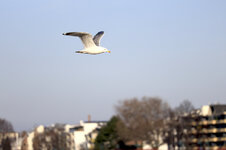 _MG_0434 Kopie.jpg