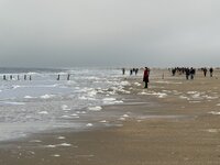 IMG_1105.jpeg