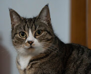 DSC05701-Verbessert-RR.jpg