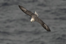 DSC03973-Verbessert-RR.jpg