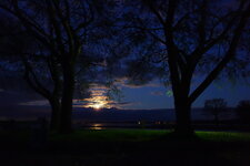 DSC02557 ISO 3200.JPG