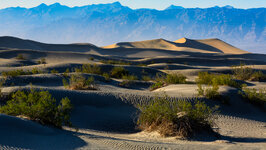 Mesquite Flats.jpg