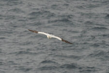DSC03889-Verbessert-RR.jpg