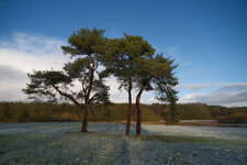 DSCF2449-2.jpg
