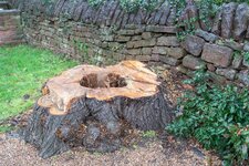 _DSC4707.jpg