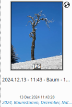 Digikam.png