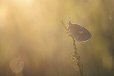 20240623-IMG_2072-bg.jpg