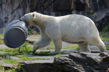 zoo-1.jpg