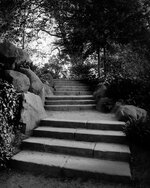 DSCF1891_lu_sw.jpg