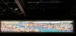 IMG_6938.jpeg