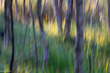 20131001-20131001-DSC04908.jpg