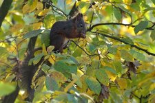 DSC_6481.jpg