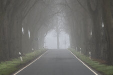 nebel 3.jpg