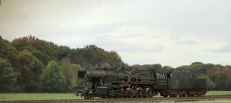 BR 50 Wald.jpg