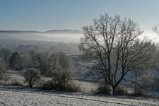 DSC_G7X_2284.jpg
