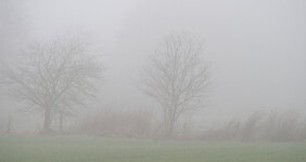 nebel 1.jpg