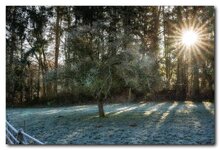 comp_DSC07380.jpg