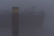 FriBr_1901-2.jpg