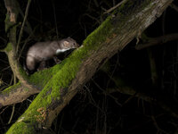 IMG_2877-Verbessert-RR-Bearbeitet-Bearbeitet-3.jpg