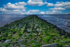DSCF5400.jpg