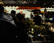 street_mannheim_214_daily_or.jpg