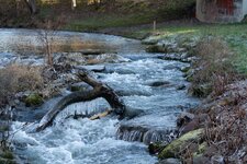 _DSC5035.jpg