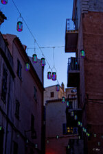 _KAM5098_DxO.jpg