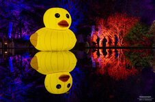 2025-01-26_18-05-44_Winterlichter-793-Bearbeitet.jpg