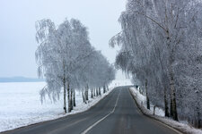 IMG_6207.jpg