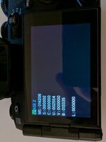 PXL_20250122_183648075.jpg