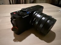 IMG_6941.jpeg