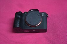 DSC07207.jpg