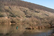 _DSC4796.jpg