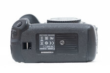 310A4106.jpg