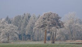 IMG_4260a2.jpg
