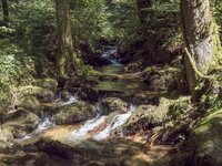 338_Gertelbachschlucht_2024_08_11.jpg