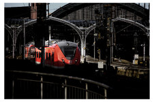 IMG_9231.jpeg