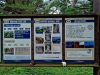 Südkorea (MotoG84)_312.jpg