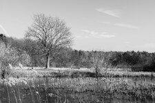 image043.5 web.jpg