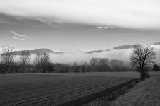 _DSC4637-2.jpg