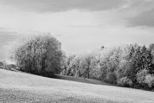 _DSC5066-2.jpg