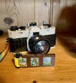 IMG_0021.jpeg