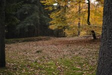 20131021_DP2M1352.jpg