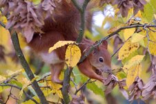 DSC_6517.jpg