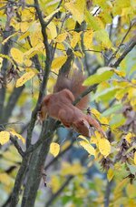 DSC_6576.jpg