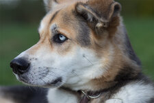 IMG_1524-als-Smartobjekt-1.jpg