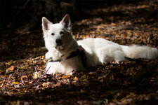 IMG_1543-als-Smartobjekt-1.jpg
