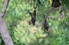 20190612_092247_rwanda_uganda_251.jpg